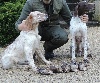  - Chasse en Dordogne