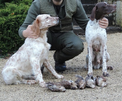 Chasse en Dordogne